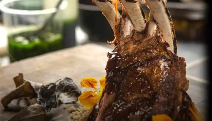 Pistatxofusión - 11300 Montevideo