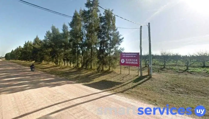 Planta Emisora de Cx 147 Radio Cristal - Las Piedras