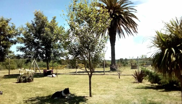 Planta Emisora De Radio Continental De Pando -  Ubicacion - Departamento de Canelones