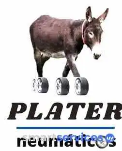 Plater Neumaticos Del Propietario - Montevideo