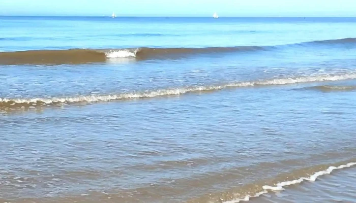 Playa Malvin -  Sitio Web - Montevideo