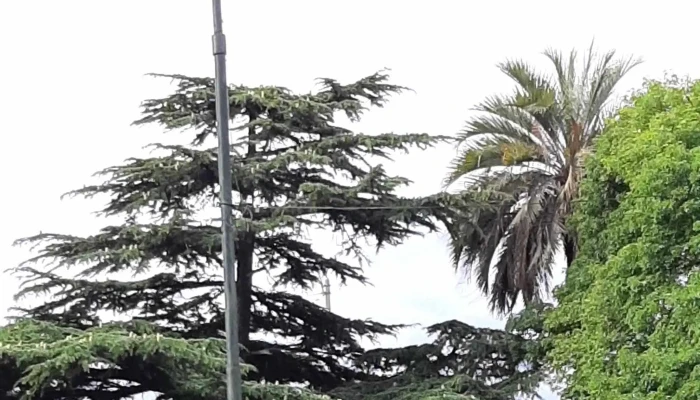 Plaza Cuba -  Opiniones - Montevideo
