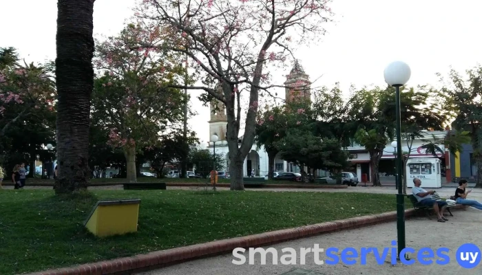 Plaza de Tala - 91800 Tala