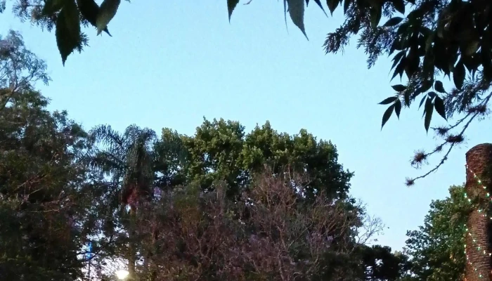 Plaza las piedras - Las Piedras