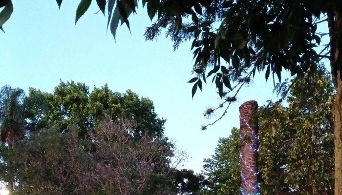 Plaza Las Piedras -  Numero - Las Piedras