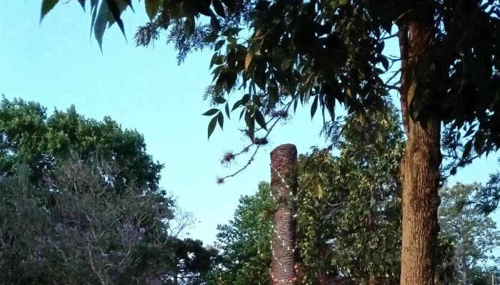 Plaza Las Piedras -  Telefono - Las Piedras