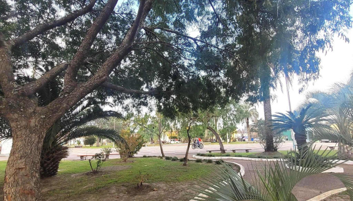 Plaza Williman -  Cerca De Mi - Guichón