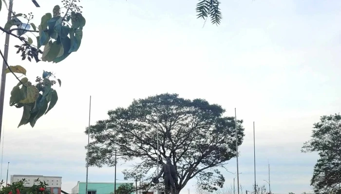 Plaza Williman - Guichón