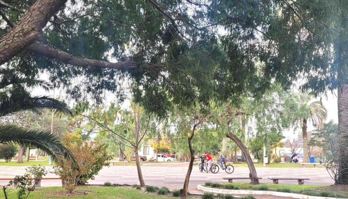 Plaza Williman -  Promocion - Guichón