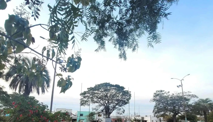 Plaza Williman -  Zona - Guichón