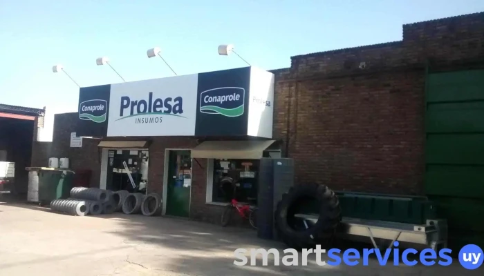 Prolesa San Ramon Direccion - San Ramón