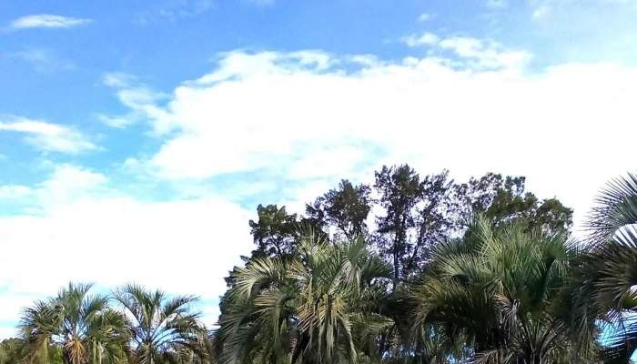 Prolesa Sarandi Grande Direccion - Sarandí Grande