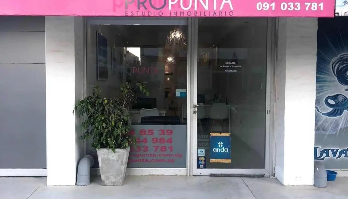 Propunta Estudio Inmobiliario -  Numero - Punta del Este