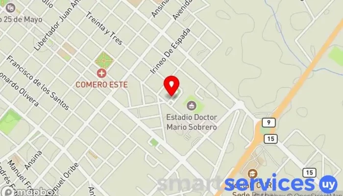 mapa de Proyecto Rosa Servicio de marketing por Internet en Rocha