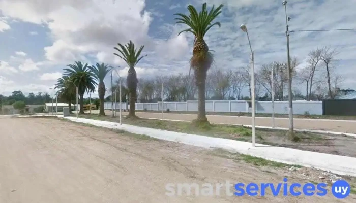 Proyecto Rosa - Rocha