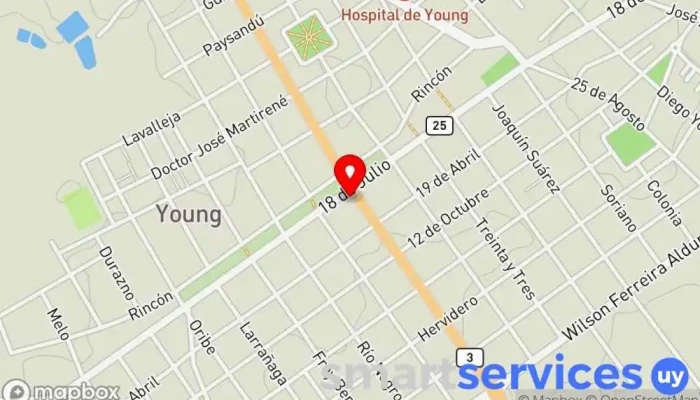 mapa de PubliLED - Young Agencia de publicidad en Young