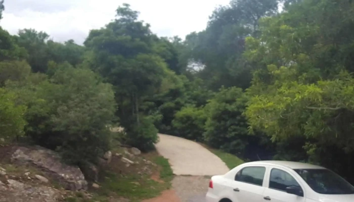 Punta Car Rent A Car -    Colonia Opiniones - Col. del Sacramento