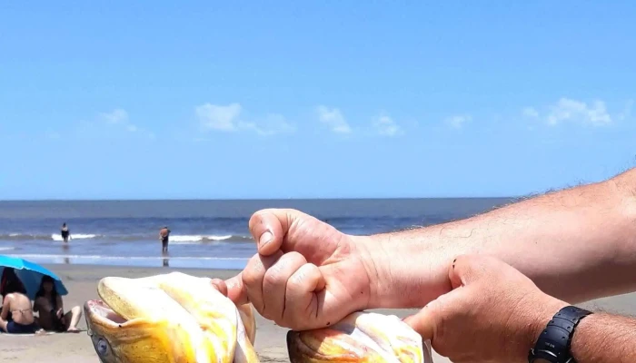 Punta Del Descanso -  Ubicacion - Montevideo