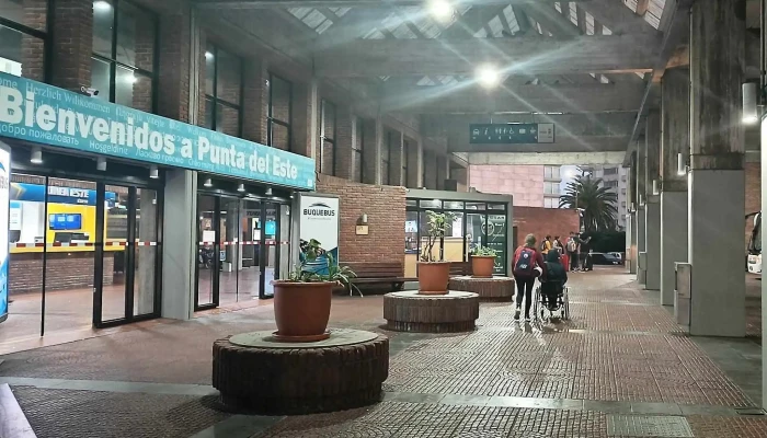 Punta Del Este -  Catalogo - Punta del Este