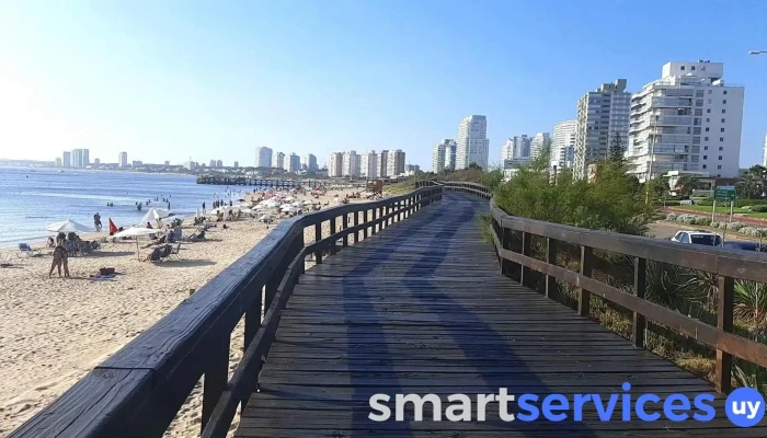 Punta Del Este -  Videos - Punta del Este