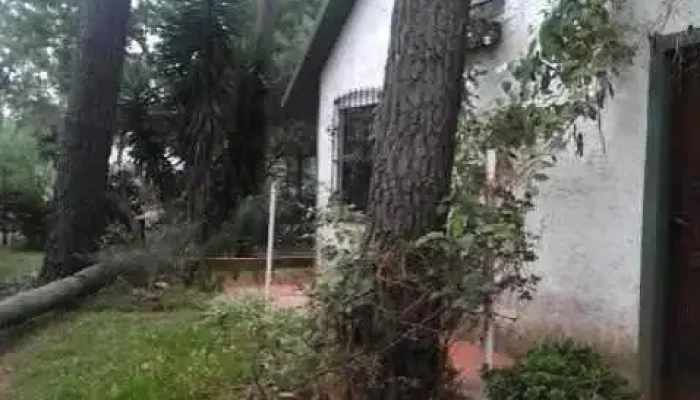 Radio Nuestro Lugar -  Sitio Web - Parque del Plata