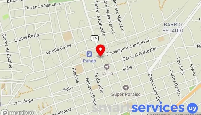 mapa de RADIO TAXI ¨EL VIKINGO¨ Parada de taxis en Pando