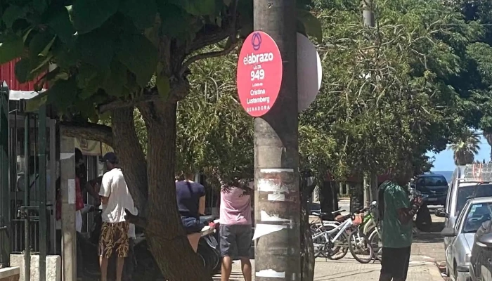 Redpagos Bachino -  Comentarios - La Floresta