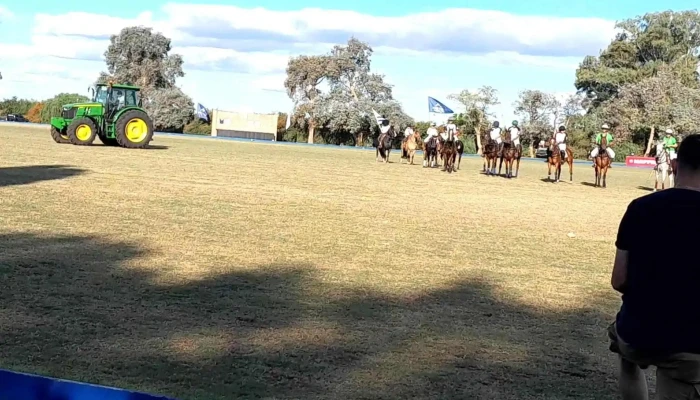 Rio Negro Polo Club -  Comentarios - Young