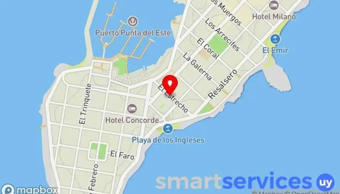 mapa de Samson Real Estate Agencia inmobiliaria en Punta del Este
