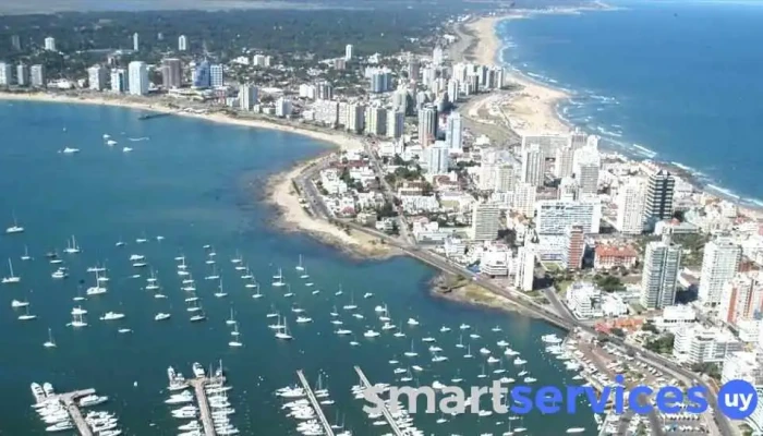 Santiago Pereyra Propiedades -    Inmobiliaria En Punta Del Este Comentarios - Punta del Este