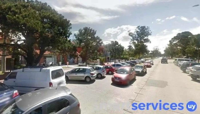 School Land - Montevideo