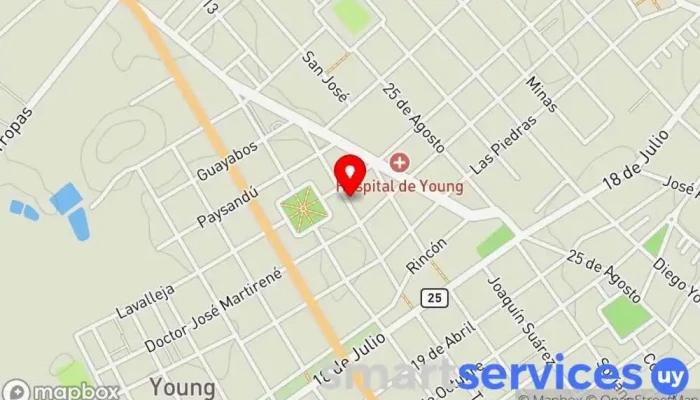mapa de Servicio Diesel Bosch y Stanadyne. Heber López Oficinas de empresa en Young