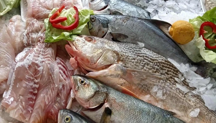 Sol de mar pescaderia - 20000 Maldonado
