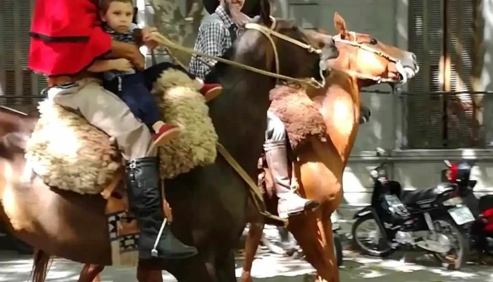 Supermercado 18 -  Videos - Durazno