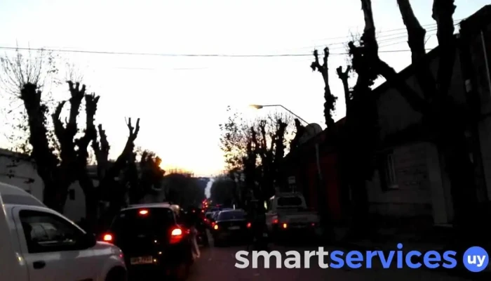 Ta -  Ta -  Sucursal Centro Videos - Durazno