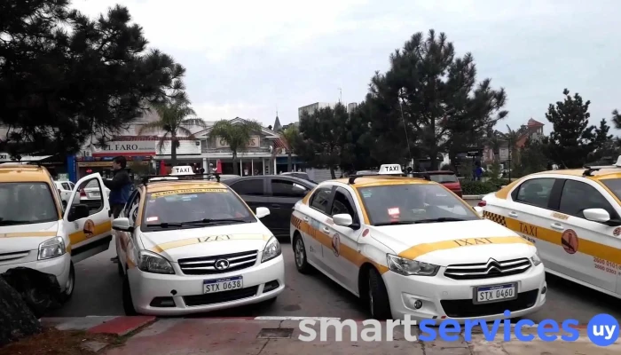 Taxi Radio Carrasco - Montevideo