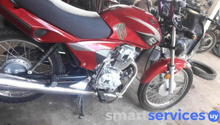 Teddy Motos - - Centro