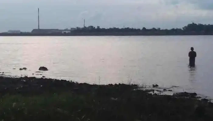 Terminal Barra Santa Lucía - Ciudad Del Plata
