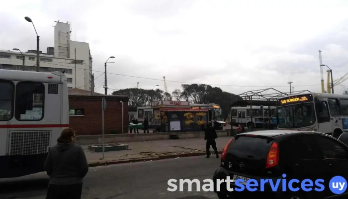 Terminal Ciudad Vieja - Montevideo