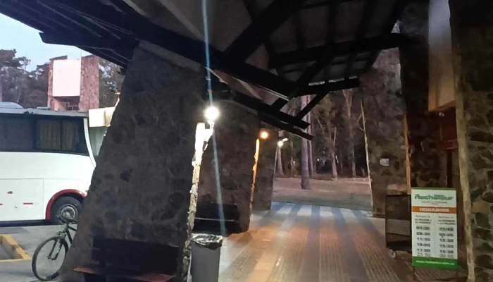 Terminal De Omnibus De La Paloma Comentarios - La Paloma