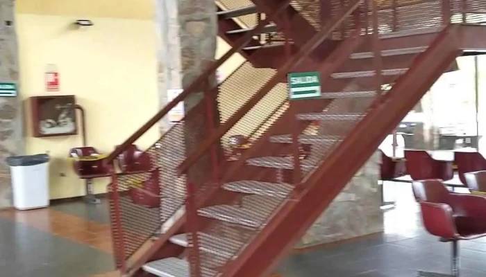 Terminal De Omnibus De La Paloma Videos - La Paloma