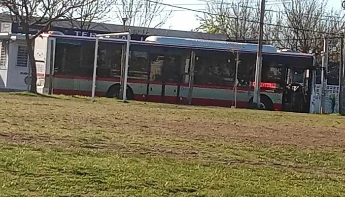 Terminal De Omnibus De La Paz Descuentos - La Paz