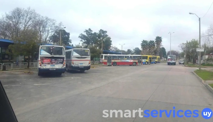 Terminal De Omnibus Del Cerro Autobus - Montevideo