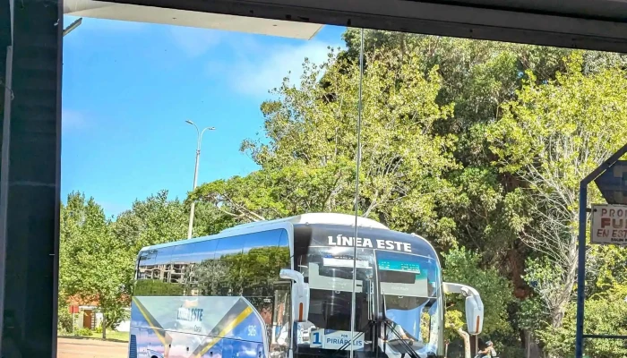 Terminal De Omnibus Maldonado Puntaje - Maldonado