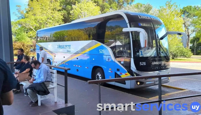 Terminal De Omnibus Maldonado Videos - Maldonado