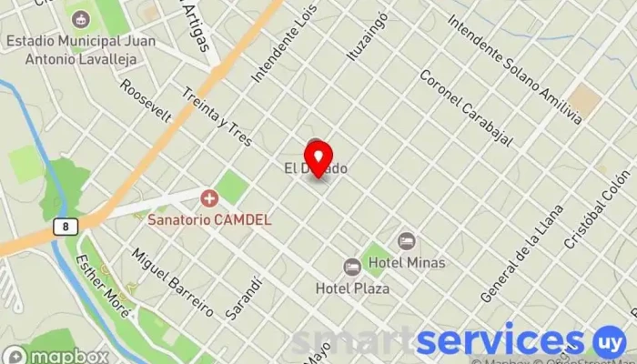 mapa de Terminal de Omnibus Estación de autobuses en Minas