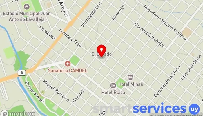 mapa de Terminal de Omnibus Estación de autobuses en Minas
