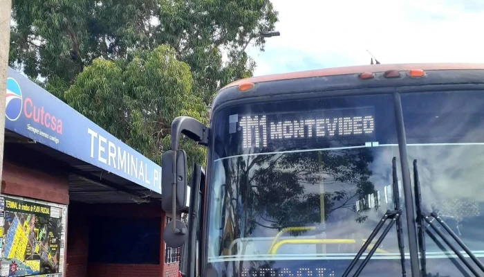 Terminal De Omnibus Playa Pascual Horario - Ciudad del Plata