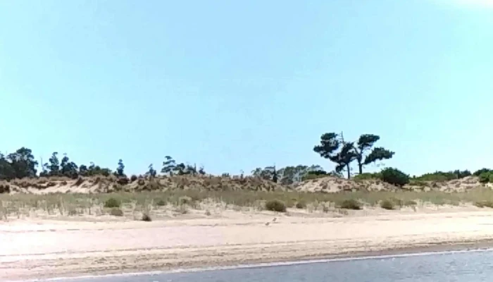 Terminal De Omnibus Playa Pascual Videos - Ciudad del Plata