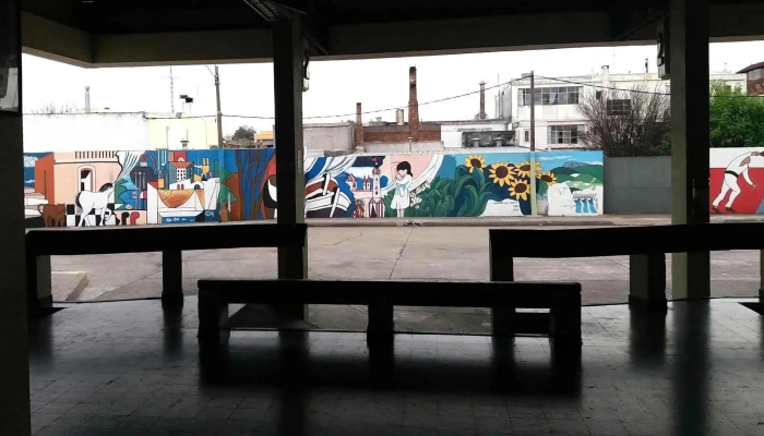 Terminal De Omnibus -  Puntaje - Minas
